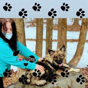 Meet your Posher, Kimberly